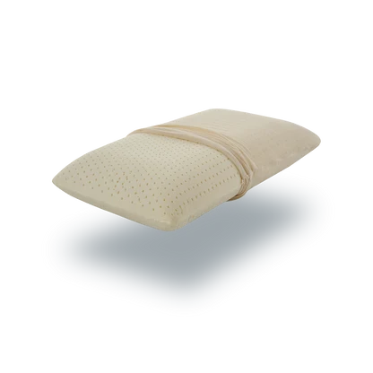 Premium Imported Memory Foam Pillow – P0243
